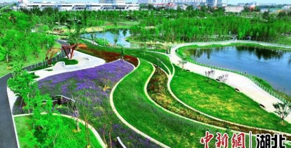 孝感邓家河公园：生态与文化交织的城市新地标