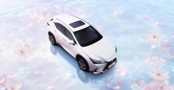 雷克萨斯二十年用心：广府茶香里的东方豪华