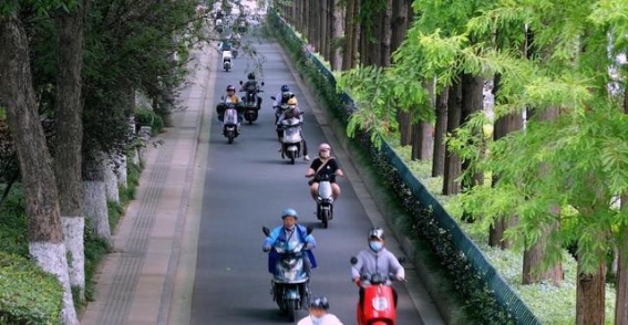 新国标电动自行车解读：儿童搭载与金属鞍座