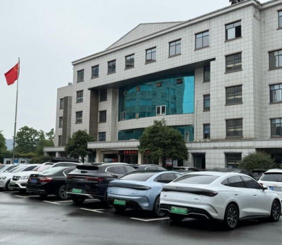 比亚迪进入公务员生活圈：理性选择与国产自信的日常体现