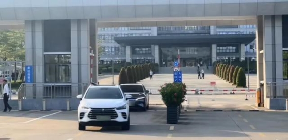 公务员购车新趋势：理性选择与国产自信的比亚迪之路