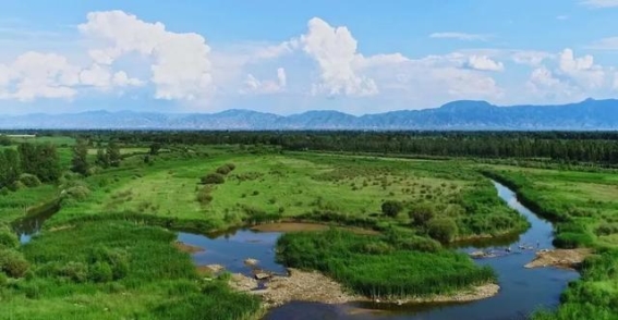 山西省新晋观鸟热地，怀仁与山阴湿地公园成焦点