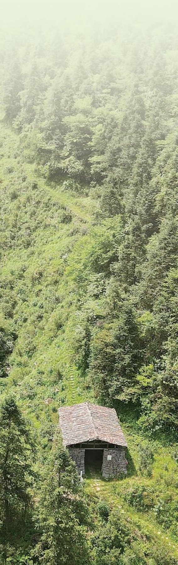 茶香古道，岁月悠悠——岭阳关古驿道的历史与传承