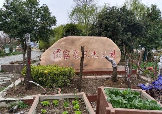 安徽定远七里塘自驾游：一场误入的风景