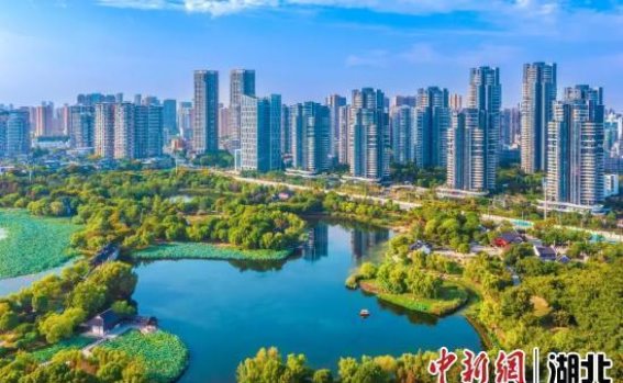 2025武汉世界花园大会：绿色低碳与生态文明共生之路