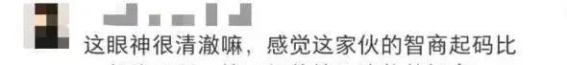 五一出行警惕野猪“萌宠”误区