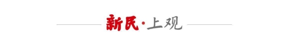上海野生动物园五一假期精彩亮相：叮叮见面会、树懒新家与长颈鹿宝宝的温馨时刻