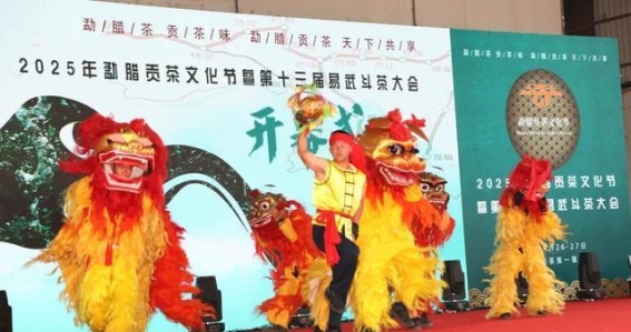 勐腊贡茶文化节：茶韵悠长，文化盛宴