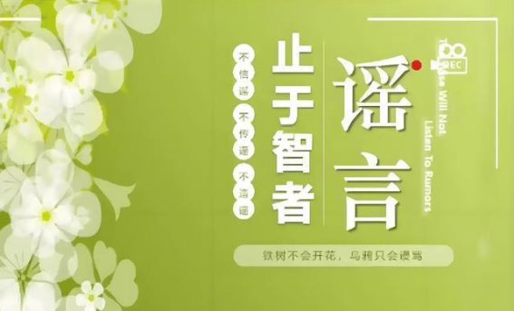 比亚迪是否正在走向“恒大”之路？——从财务和市场表现看新能源车企的未来