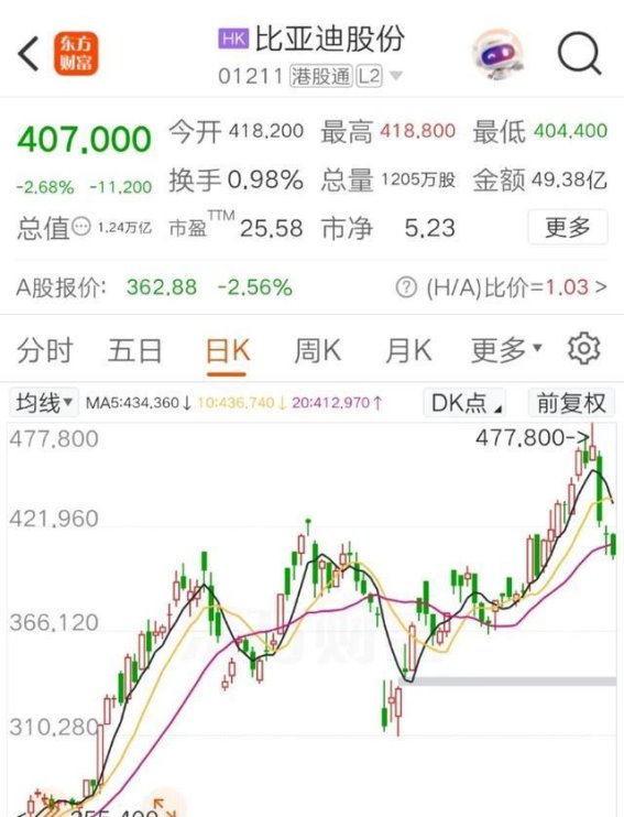 比亚迪股价大跌与价格战蔓延的多重压力