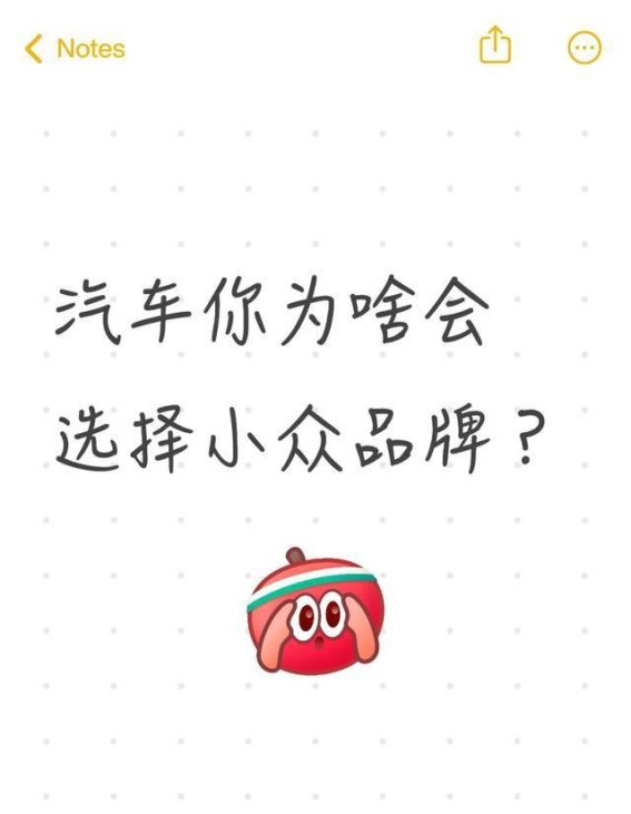 为何越来越多老板选择小众品牌汽车