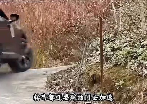 底盘差异如何影响汽车操控性