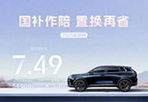 风神6.18皓极：全面优惠与尊贵服务，打造无忧购车体验