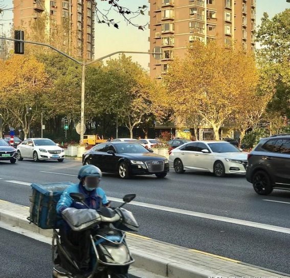 中国车市冷热地图:南方新能源热,北方SUV稳
