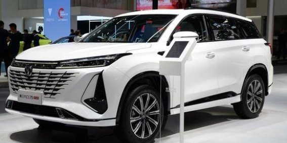 2025上半年SUV市场竞争：新能源引领，传统车型稳守