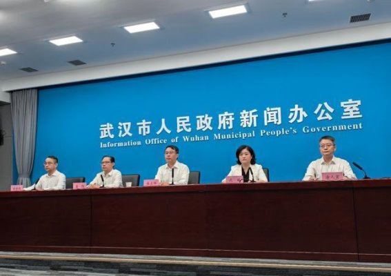2025武汉国际车展:智联引领,驾趣启程