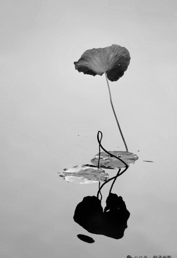 站桩五步养心法:从脚底养出一身从容