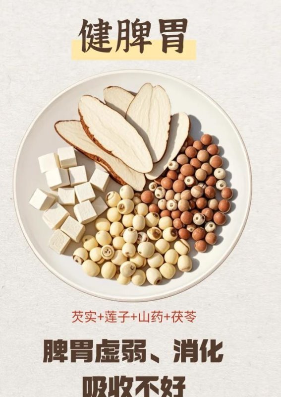 湿气重,体重难控?一杯减脂茶帮你轻松瘦身