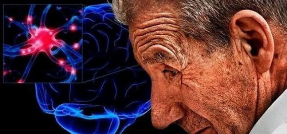 病毒感染与神经退行性疾病：疫苗能否成为预防利器？