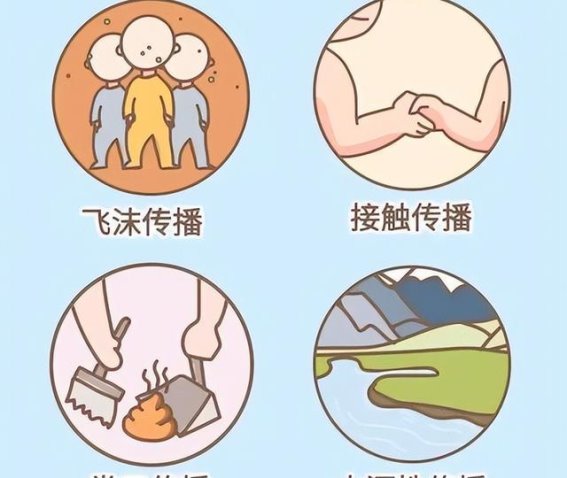 朊病毒的恐怖真相:致命且无法治愈的致命病原体