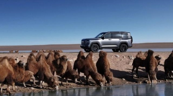 原厂硬核越野 二代哈弗H9穿越版开启极限征服