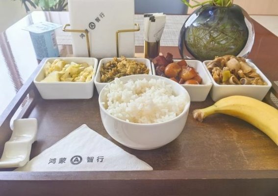 鸿蒙大饭店暂停传言背后 经销商压力与车主体验的新考验