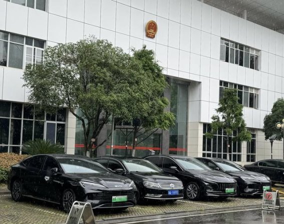 在理性选择中走红：比亚迪为何成为公务员通勤新共识