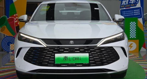 公务员选比亚迪：省钱与技术自信的双重驱动