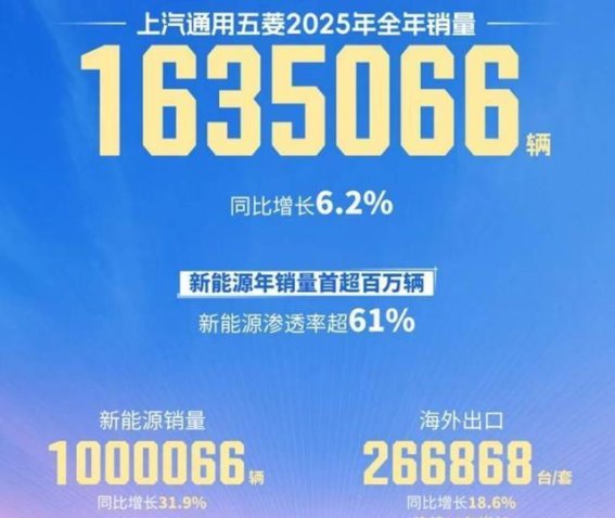 2025年新能源车市成绩单全景解读：高增长背后，格局正在悄然重塑