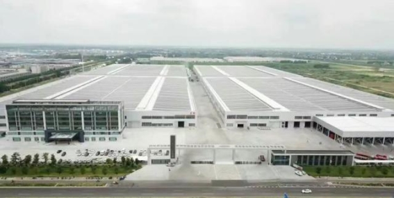 年底电动三轮车选购指南：五羊、金彭、宗申哪家好？