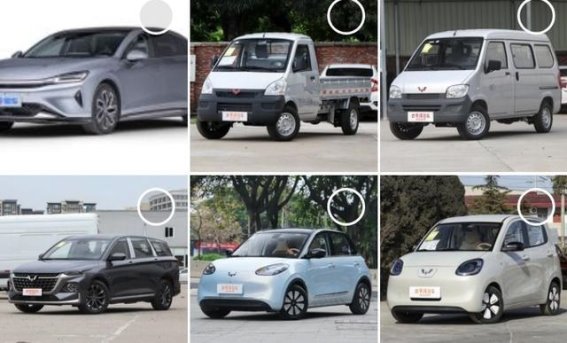 呆呆一夜爆红，背后是接地气的力量