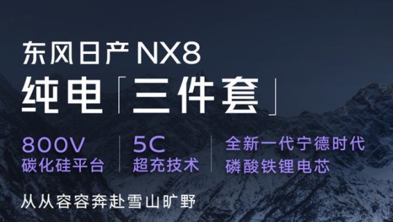 日产NX8纯电版曝光，技术硬核剑指比亚迪唐L