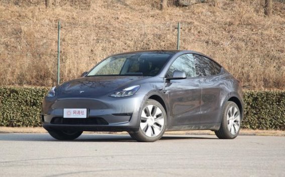 特斯拉Model Y尾灯设计引发误拦，车主误遭警方误判