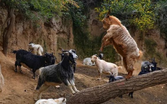 车主必看！专业补胎的实用技巧分享