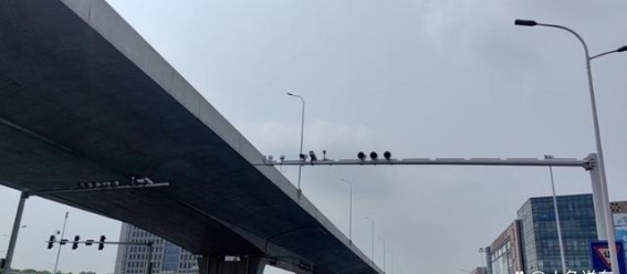 误闯红灯怎么办？交警教你如何避免罚款和扣分